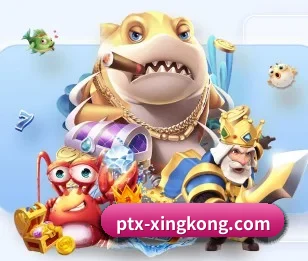 了解平台 - 体育资讯内容服务（xingkong.com）